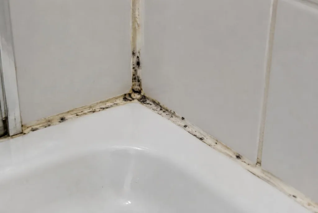 Kitbedrijf Kesteren – beschimmelde kitranden
